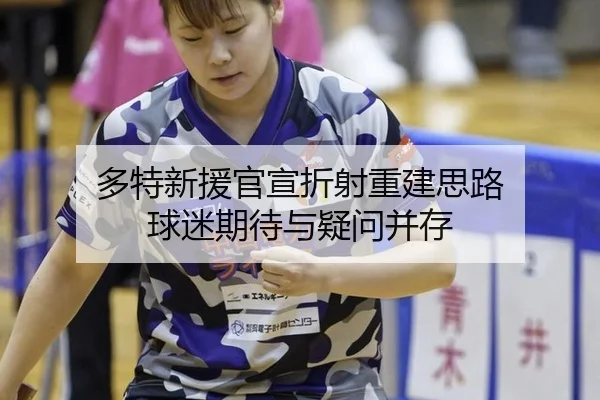 多特新援官宣折射重建思路 球迷期待与疑问并存